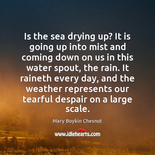 Is the sea drying up? It is going up into mist and Mary Boykin Chesnut Picture Quote