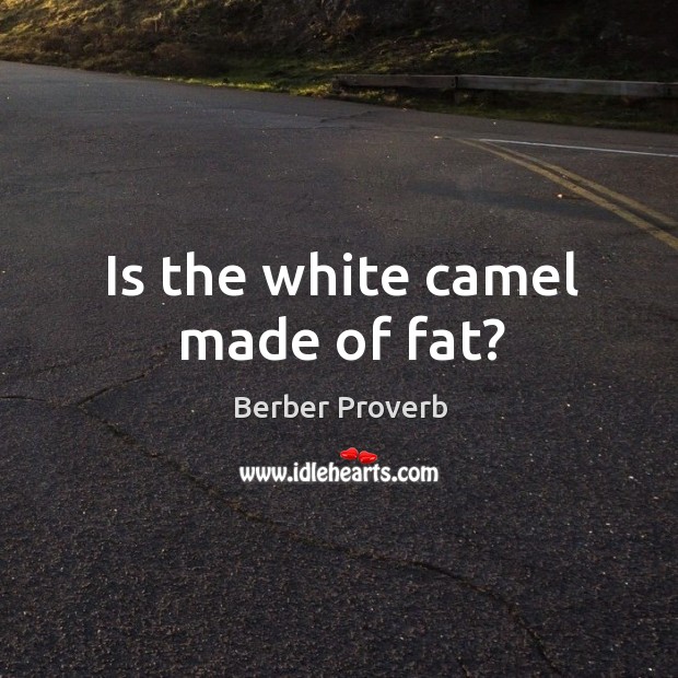 Is the white camel made of fat? Image
