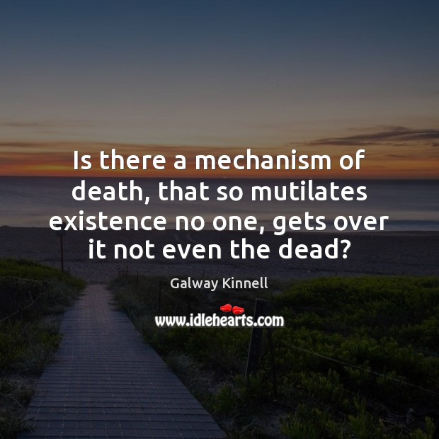 Is there a mechanism of death, that so mutilates existence no one, Galway Kinnell Picture Quote