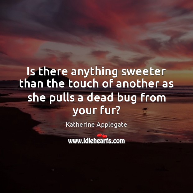 Is there anything sweeter than the touch of another as she pulls a dead bug from your fur? Katherine Applegate Picture Quote