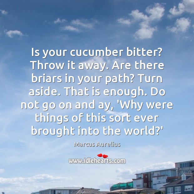 Is your cucumber bitter? Throw it away. Are there briars in your Marcus Aurelius Picture Quote