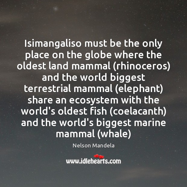 Isimangaliso must be the only place on the globe where the oldest Image