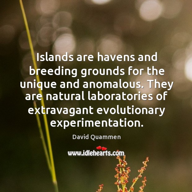 Islands are havens and breeding grounds for the unique and anomalous. They David Quammen Picture Quote