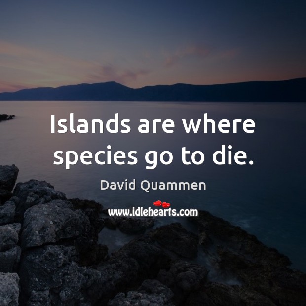 Islands are where species go to die. David Quammen Picture Quote