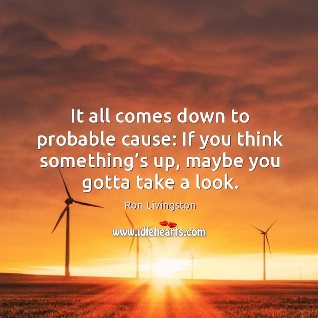 It all comes down to probable cause: if you think something’s up, maybe you gotta take a look. Ron Livingston Picture Quote