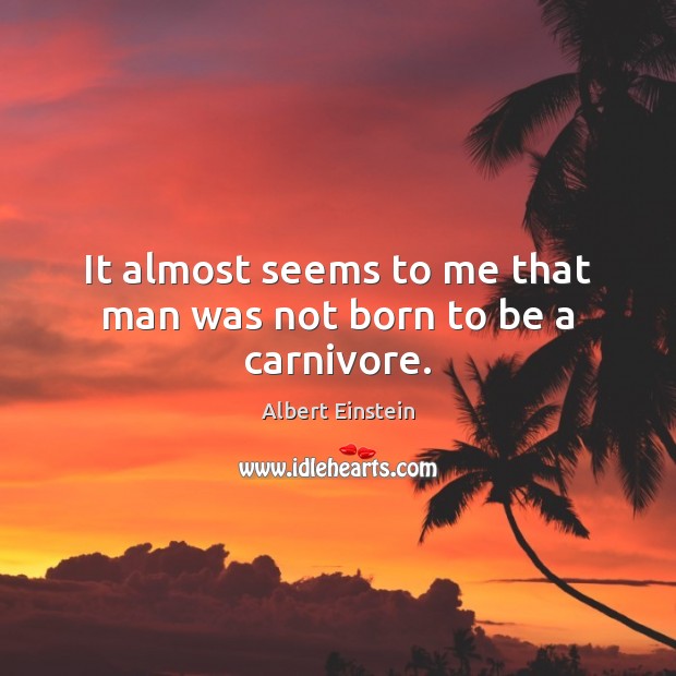It almost seems to me that man was not born to be a carnivore. Albert Einstein Picture Quote