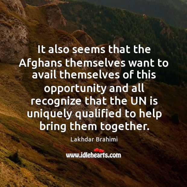 It also seems that the afghans themselves want to avail themselves of this opportunity Lakhdar Brahimi Picture Quote