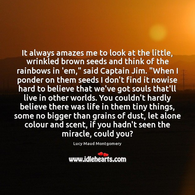It always amazes me to look at the little, wrinkled brown seeds Lucy Maud Montgomery Picture Quote