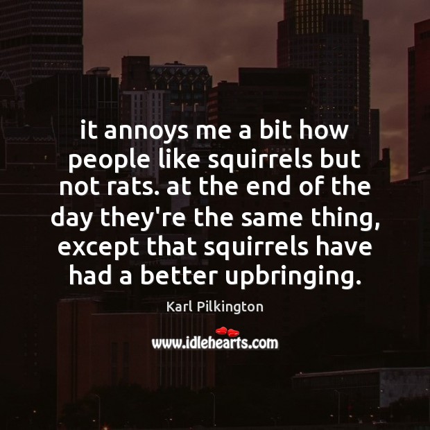 It annoys me a bit how people like squirrels but not rats. Karl Pilkington Picture Quote
