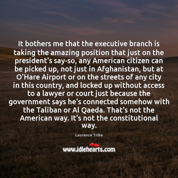 It bothers me that the executive branch is taking the amazing position Laurence Tribe Picture Quote