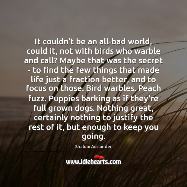 It couldn’t be an all-bad world, could it, not with birds who Shalom Auslander Picture Quote