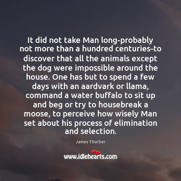 It did not take Man long-probably not more than a hundred centuries-to James Thurber Picture Quote