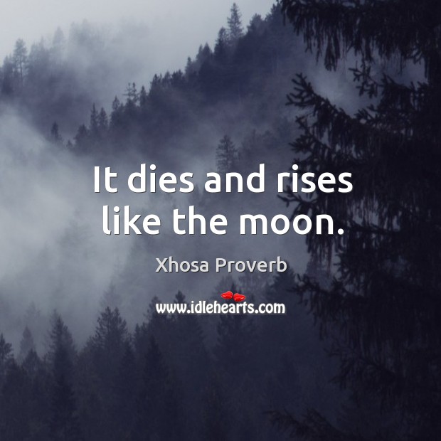 It dies and rises like the moon. Image