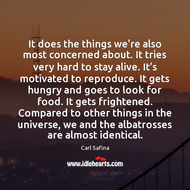 It does the things we’re also most concerned about. It tries very Carl Safina Picture Quote