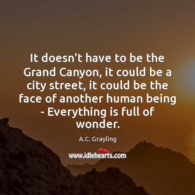 It doesn’t have to be the Grand Canyon, it could be a A.C. Grayling Picture Quote