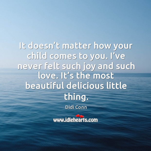 It doesn’t matter how your child comes to you. I’ve never felt such joy and such love. Didi Conn Picture Quote