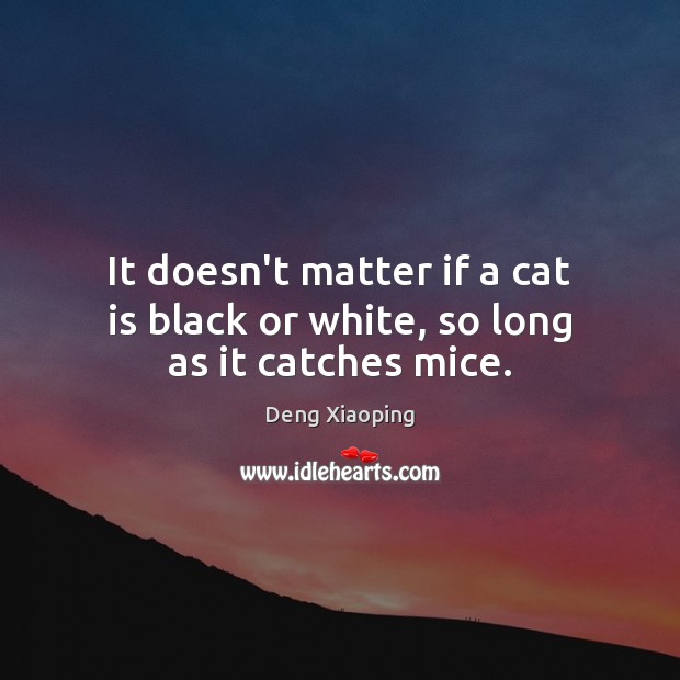 It doesn’t matter if a cat is black or white, so long as it catches mice. Deng Xiaoping Picture Quote