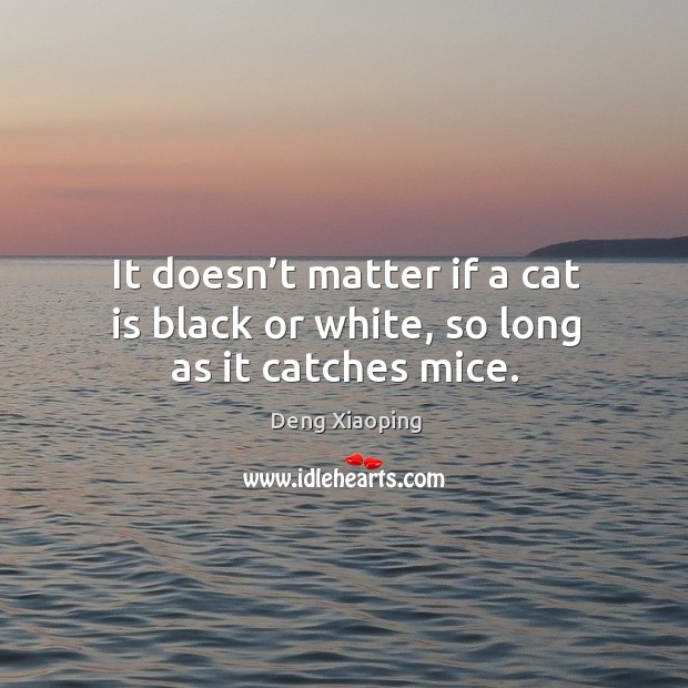 It doesn’t matter if a cat is black or white, so long as it catches mice. Deng Xiaoping Picture Quote