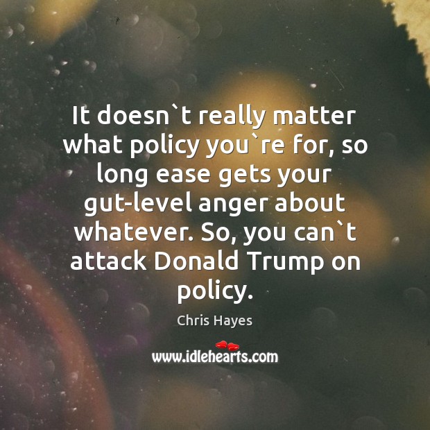 It doesn`t really matter what policy you`re for, so long Chris Hayes Picture Quote