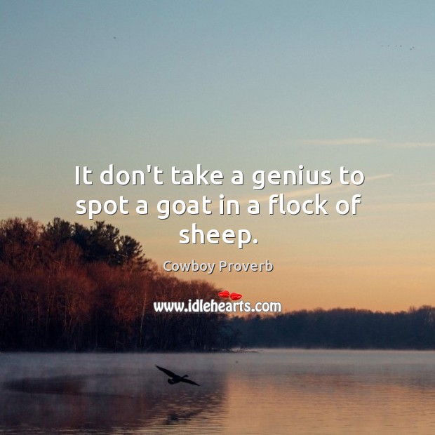 It don’t take a genius to spot a goat in a flock of sheep. Cowboy Proverbs Image
