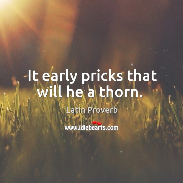 It early pricks that will he a thorn. Latin Proverbs Image