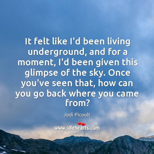 It felt like I’d been living underground, and for a moment, I’d Jodi Picoult Picture Quote