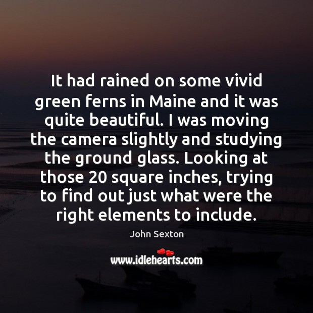 It had rained on some vivid green ferns in Maine and it John Sexton Picture Quote