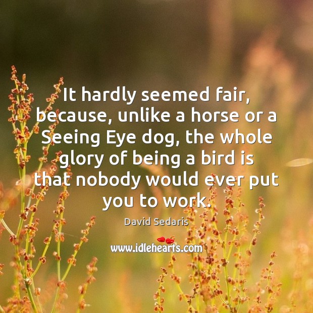 It hardly seemed fair, because, unlike a horse or a Seeing Eye David Sedaris Picture Quote