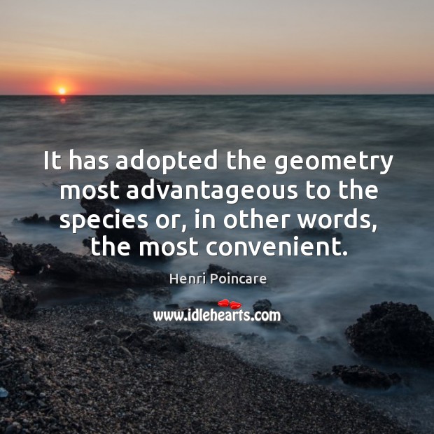 It has adopted the geometry most advantageous to the species or, in other words, the most convenient. Henri Poincare Picture Quote