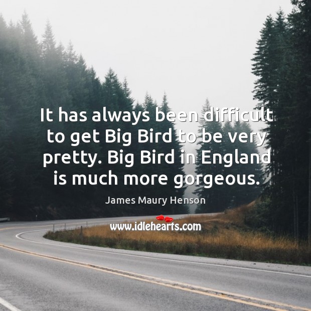 It has always been difficult to get big bird to be very pretty. Big bird in england is much more gorgeous. James Maury Henson Picture Quote