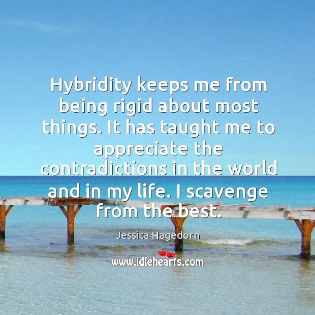 It has taught me to appreciate the contradictions in the world and in my life. I scavenge from the best. Jessica Hagedorn Picture Quote