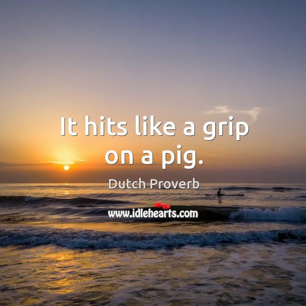 It hits like a grip on a pig. Dutch Proverbs Image