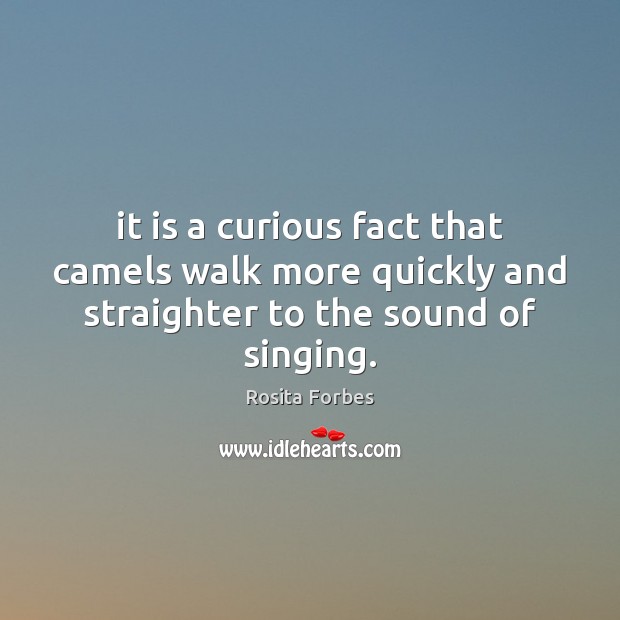 It is a curious fact that camels walk more quickly and straighter to the sound of singing. Image