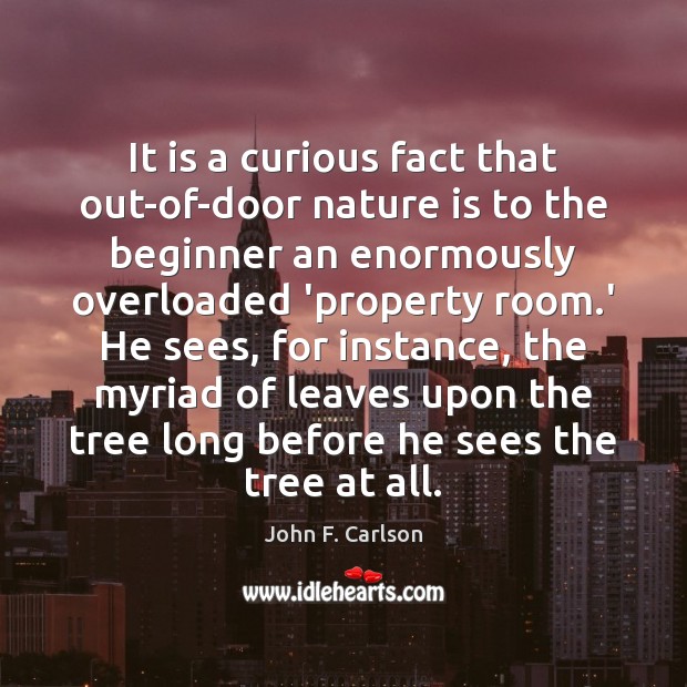 It is a curious fact that out-of-door nature is to the beginner John F. Carlson Picture Quote