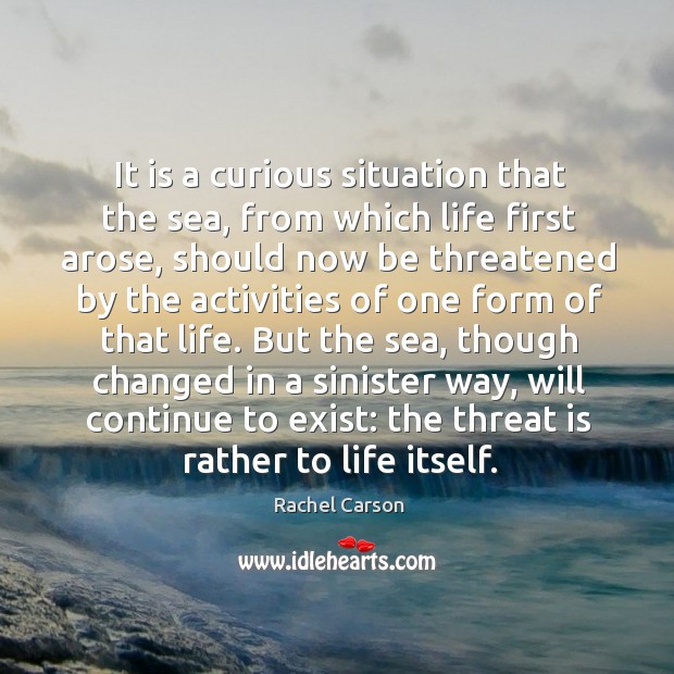 It is a curious situation that the sea, from which life first 