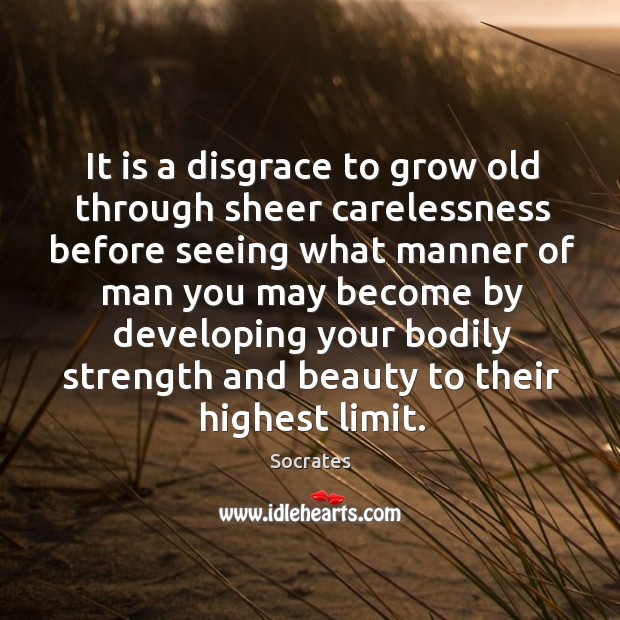 It is a disgrace to grow old through sheer carelessness before seeing Socrates Picture Quote