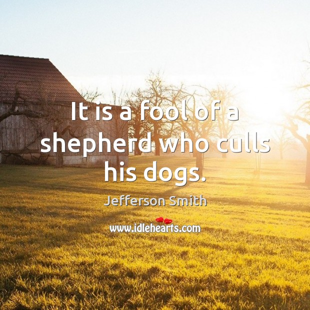 It is a fool of a shepherd who culls his dogs. Jefferson Smith Picture Quote