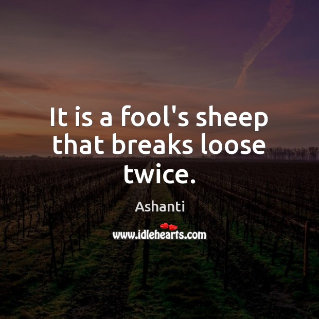 It is a fool’s sheep that breaks loose twice. Ashanti Picture Quote