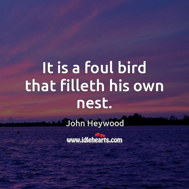 It is a foul bird that filleth his own nest. John Heywood Picture Quote