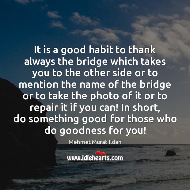 It is a good habit to thank always the bridge which takes Mehmet Murat Ildan Picture Quote