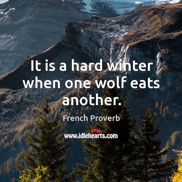 It is a hard winter when one wolf eats another. Image