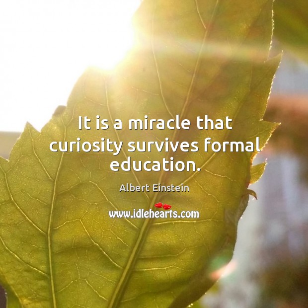It is a miracle that curiosity survives formal education. Image
