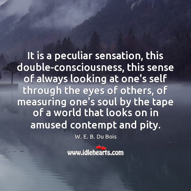 It is a peculiar sensation, this double-consciousness, this sense of always looking W. E. B. Du Bois Picture Quote