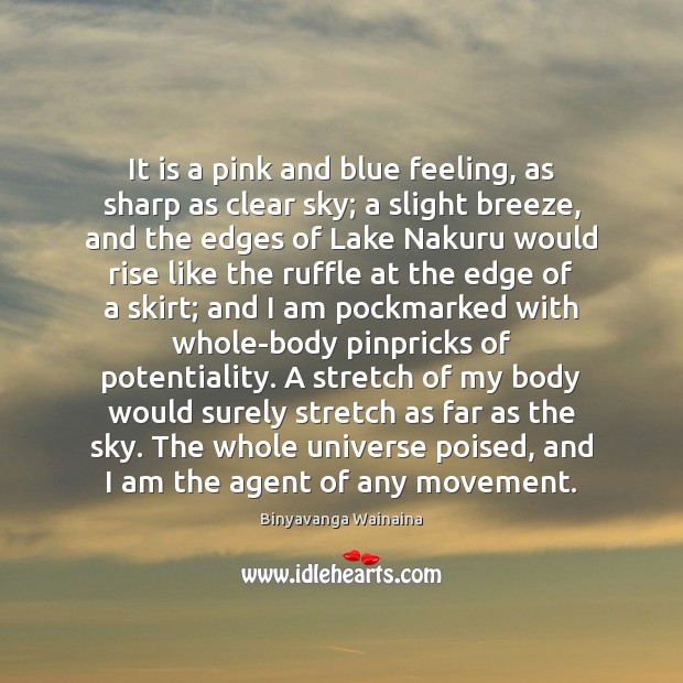 It is a pink and blue feeling, as sharp as clear sky; Binyavanga Wainaina Picture Quote