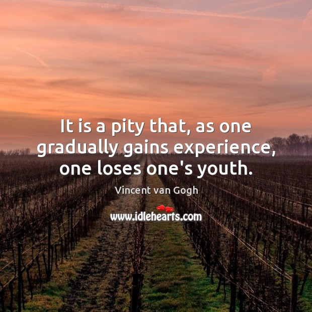 It is a pity that, as one gradually gains experience, one loses one’s youth. Vincent van Gogh Picture Quote