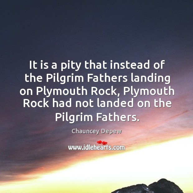 It is a pity that instead of the pilgrim fathers landing on plymouth rock, plymouth rock Chauncey Depew Picture Quote