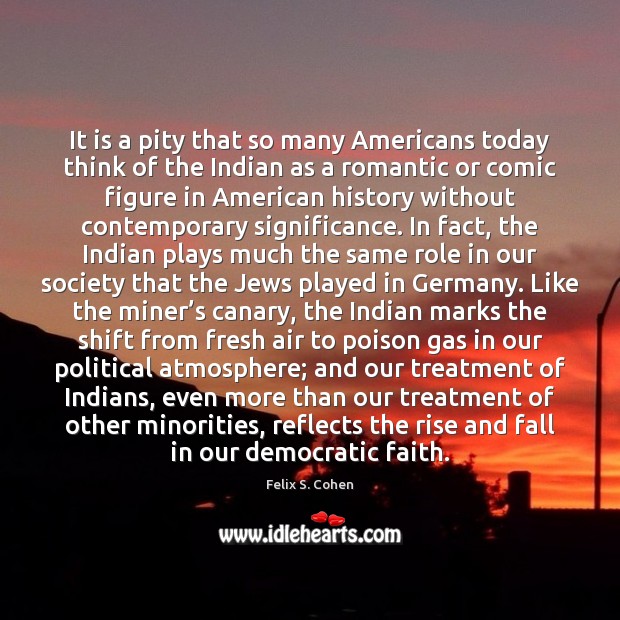 It is a pity that so many Americans today think of the Felix S. Cohen Picture Quote