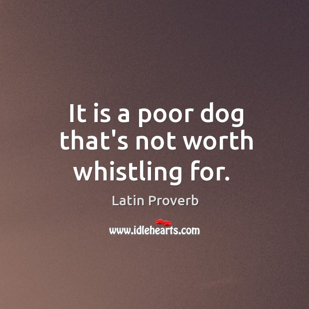 It is a poor dog that’s not worth whistling for. Latin Proverbs Image