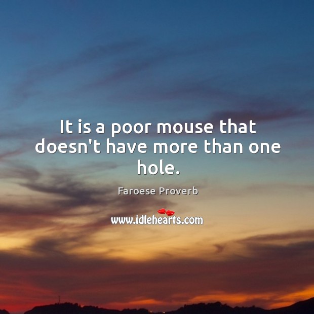 It is a poor mouse that doesn’t have more than one hole. Faroese Proverbs Image