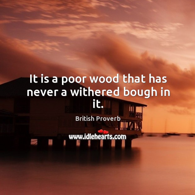 It is a poor wood that has never a withered bough in it. British Proverbs Image